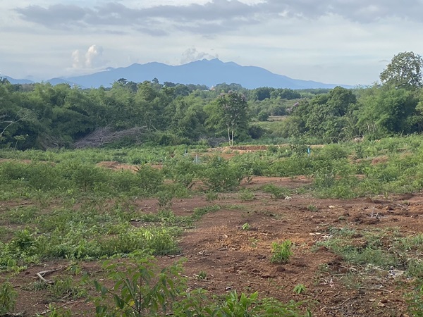 ขาย!!! ที่ดินสวย ทำเลศักยภาพ ใจกลางเมือง..หลังค่ายตากสิน..เนื้อที่ 14 ไร่เศษ โทร 092-5635533